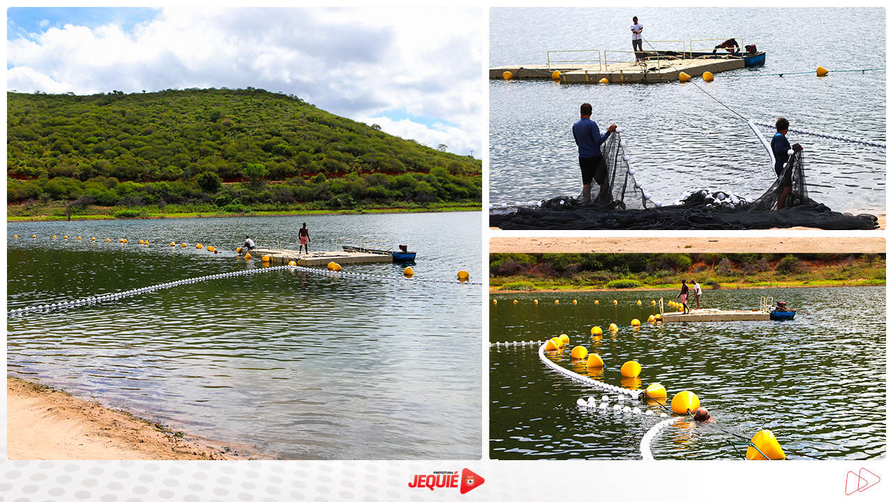 Prefeitura de Jequié instala rede de contenção contra piranhas na Prainha Lomanto