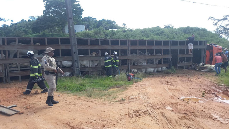 Caminhão boiadeiro capota na BA-130 em Itagi; motorista sofreu ferimentos leves