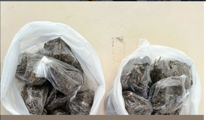 Suspeito foge de bicicleta e abandona 40 trouxas de maconha durante ronda da PM em Jequié