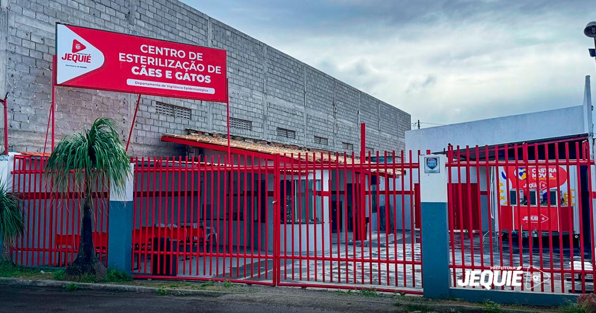 Prefeitura de Jequié inicia cadastramento online para castração de cães e gatos