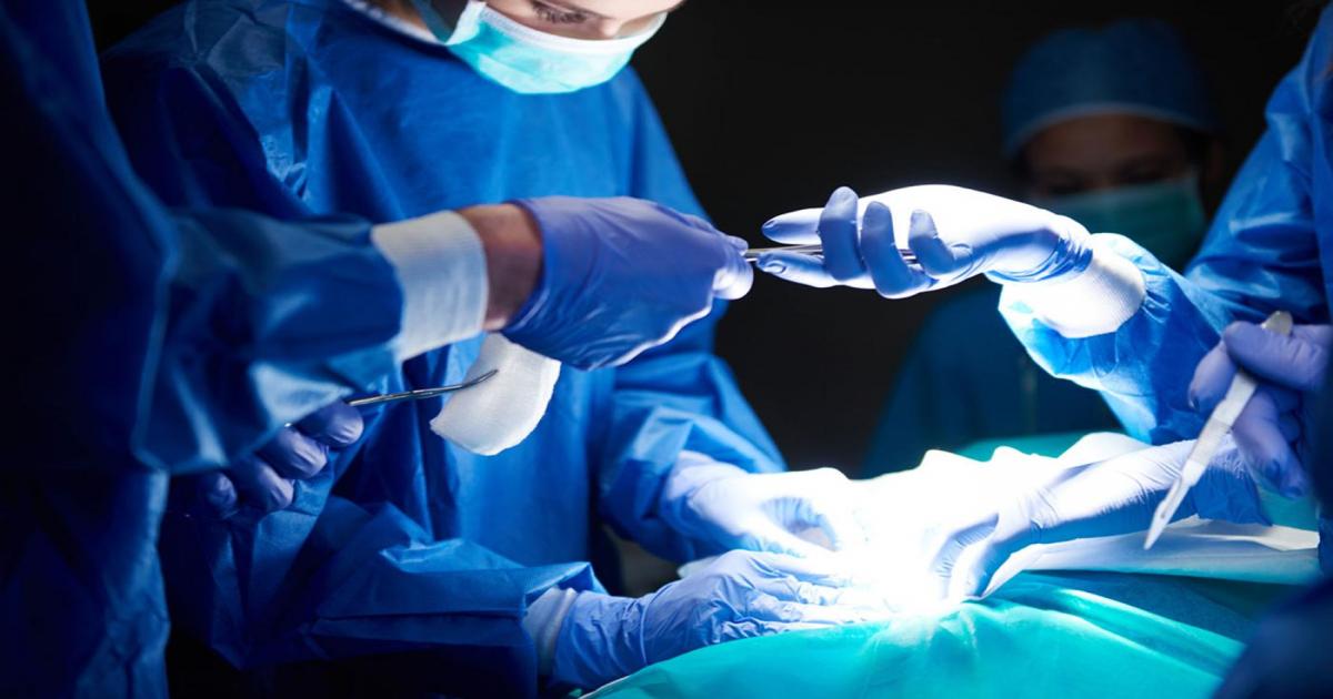 Transplante de rim: 44 mil pessoas aguardam cirurgia no Brasil  Notícias Católicas