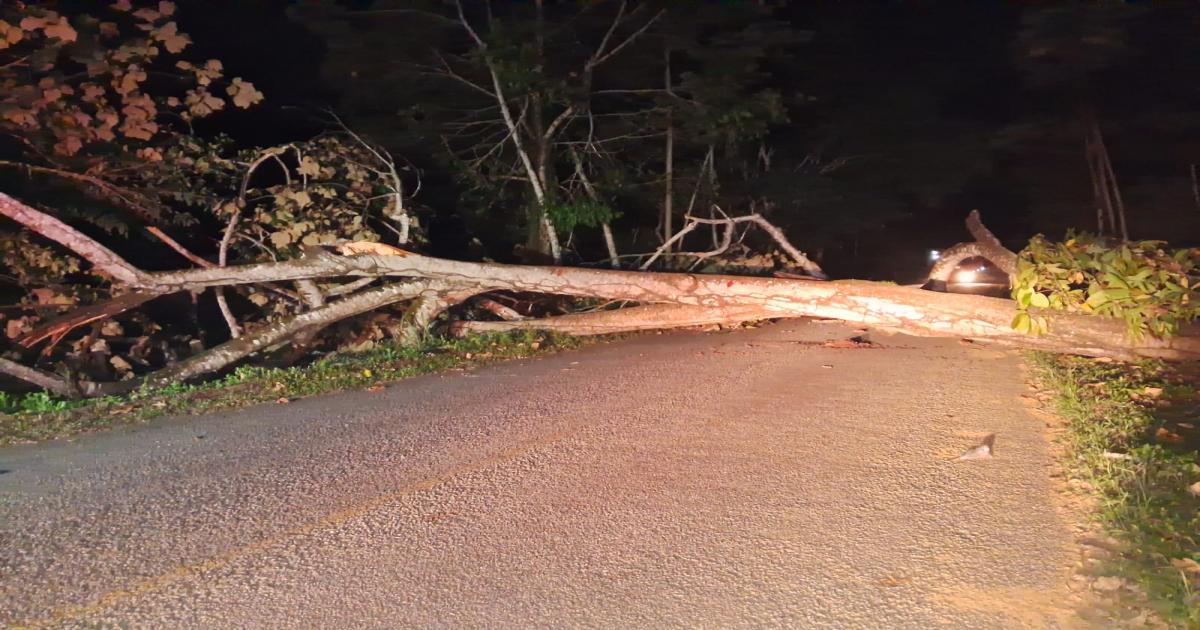 Notícias Católicas