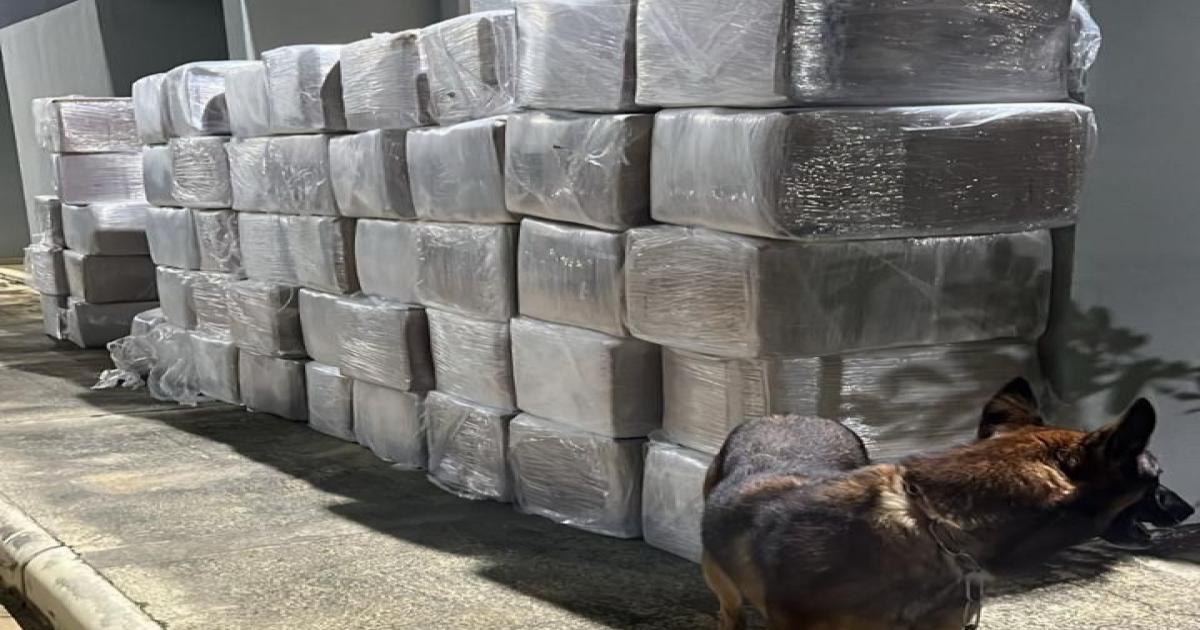 INSTITUIÇÕES POLICIAIS REALIZAM A MAIOR APREENSÃO DE DROGAS NA REGIÃO SUDOESTE