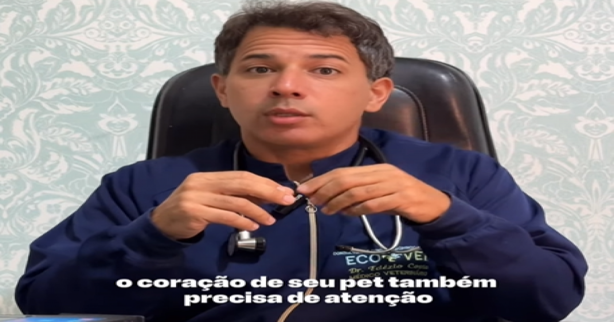 Clínica Ecovet oferece exames cardiológicos completos para cães e gatos em Jequié