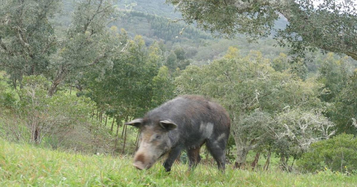  Notícias Católicas