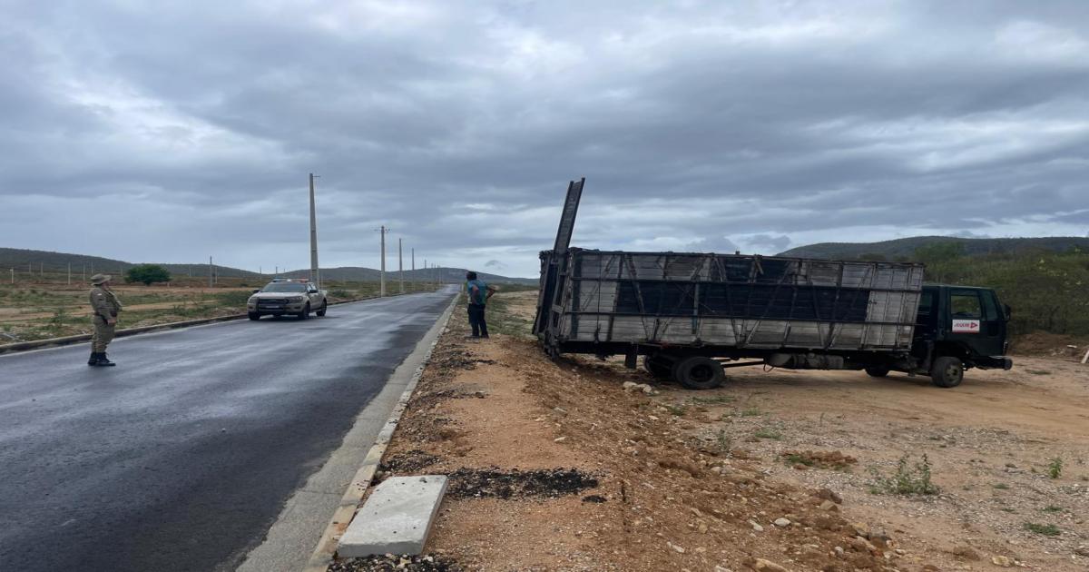 Animais soltos são recolhidos na BA-130 durante ação da Polícia Rodoviária e Prefeitura de Jequié  Notícias Católicas