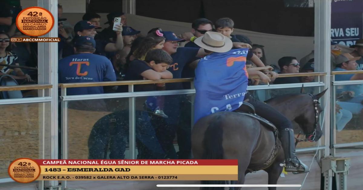 Haras Terra do Cacau conquista título nacional com Esmeralda Gad na Exposição Nacional do Mangalarga Marchador