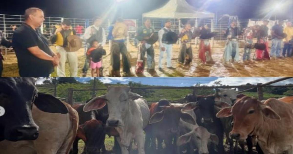  Notícias Católicas