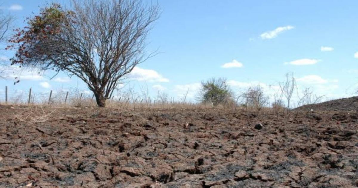 Prefeitura de Manoel Vitorino busca formas de intervenção da estiagem prolongada