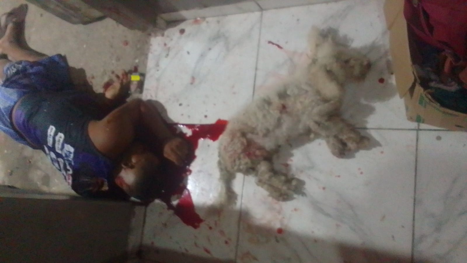 Adolescente de 16 anos é encontrado morto a tiros ao lado do próprio cachorro em Jequié