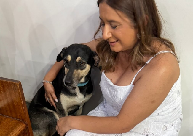 Câmara de Jequié aprova projeto da vereadora Moana Meira que cria Cadastro Municipal de Protetores e Cuidadores de Animais