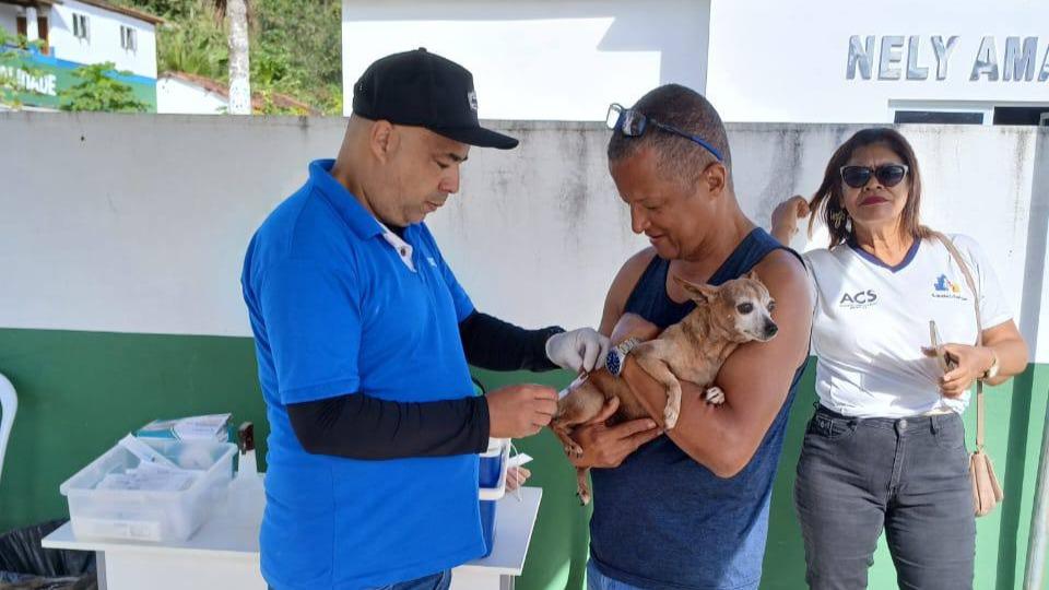 Itagi vacina 848 cães e gatos em campanha antirrábica realizada em quatro pontos da cidade