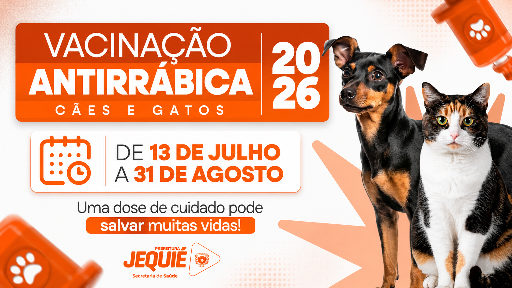 Prefeitura de Jequié inicia campanha de vacinação contra raiva e amplia proteção de cães e gatos