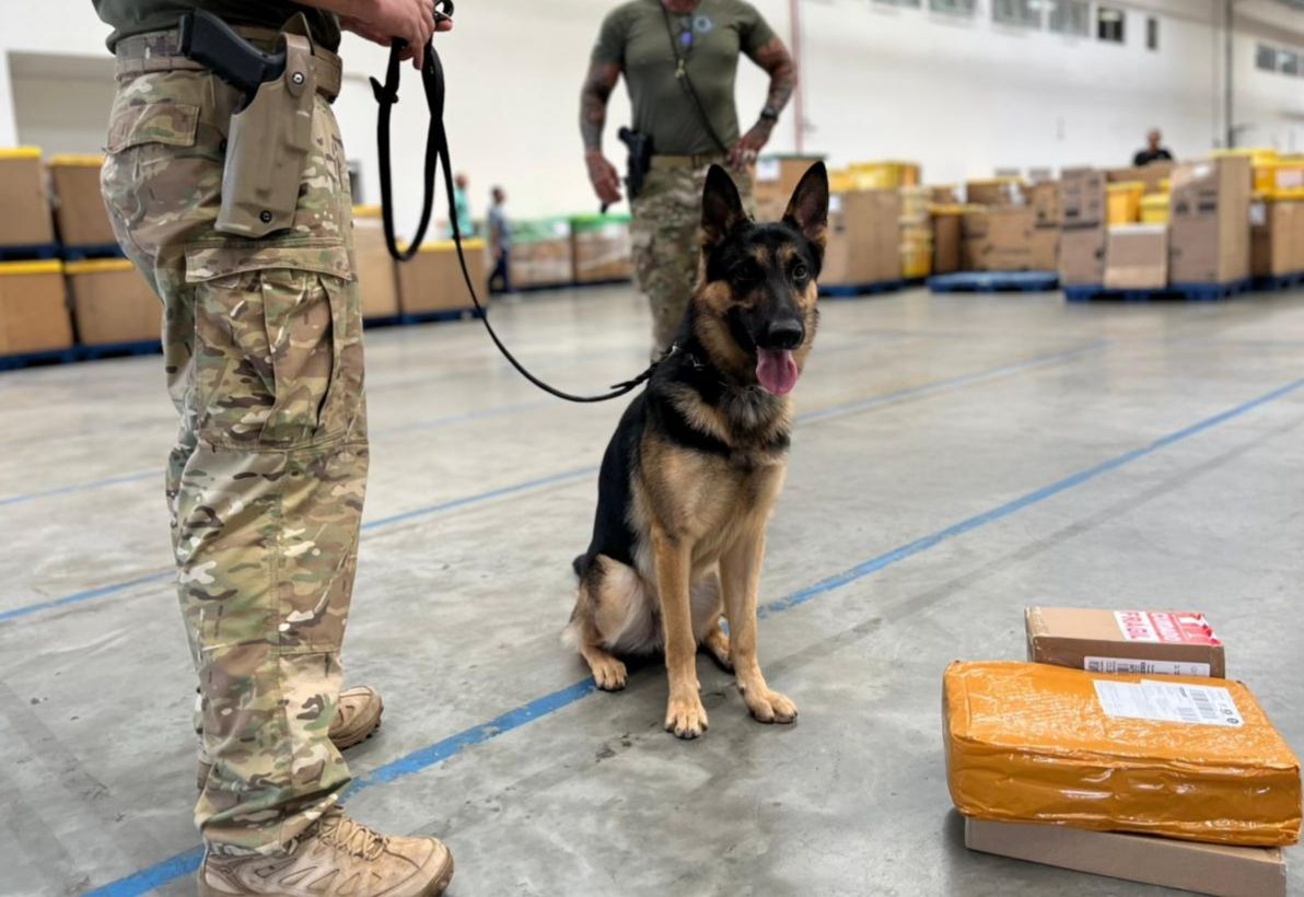 Homem é preso com drogas e munições ao retirar encomenda nos Correios em Itabuna