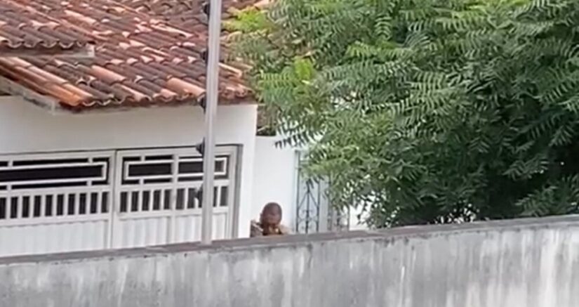 Ipiaú: Homem se entrega e é preso após fazer reféns três pessoas no bairro Antônio Lourenço