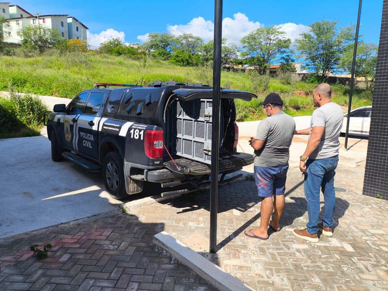 Polícia Civil prende suspeito de roubos e furtos durante Operação Rastro em Jequié Polícia Civil prende suspeito de roubos e furtos durante Operação Rastro em Jequié