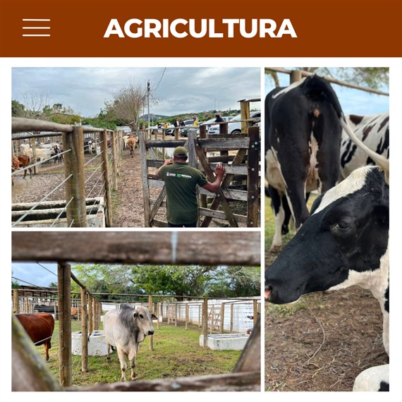 4ª ExpoFeira de Animais fortalece o agronegócio e movimenta Lafaiete Coutinho