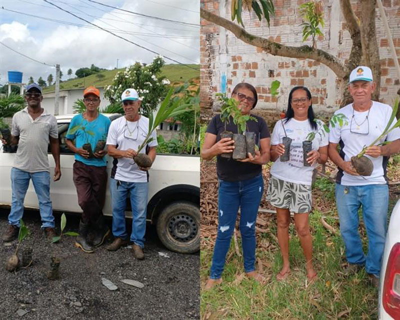 Secretaria de Meio Ambiente de Jitaúna distribuiu 400 mudas frutíferas e essências florestais