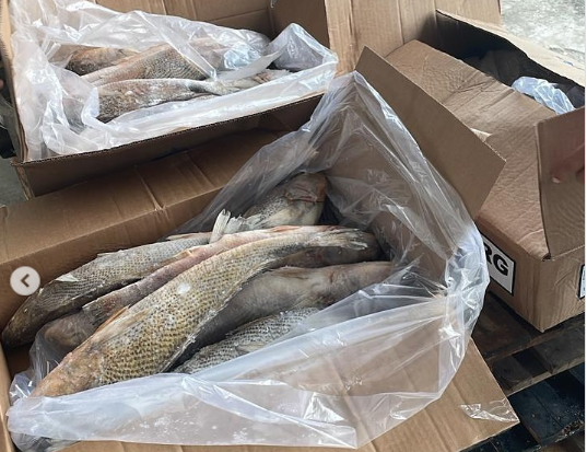 Prefeitura de Lafaiete Coutinho anuncia cronograma de entrega de peixe da Semana Santa