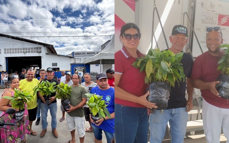 Prefeitura de Jitaúna distribui 4 mil mudas de cacau e essências florestais em alusão ao dia mundial do Meio Ambiente