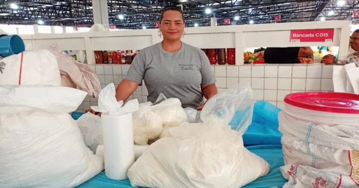  Notícias Católicas