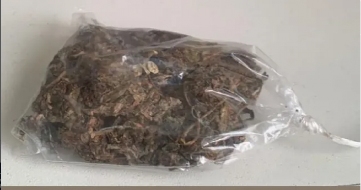  Notícias Católicas