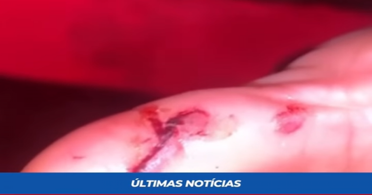  Notícias Católicas