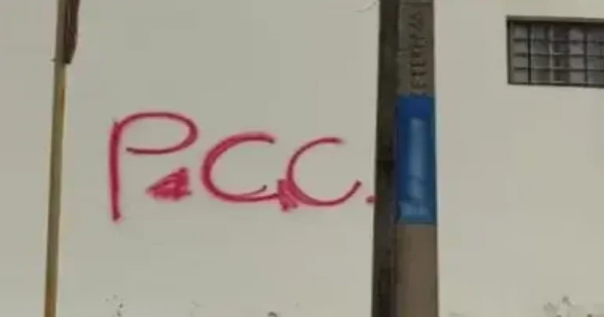  Notícias Católicas