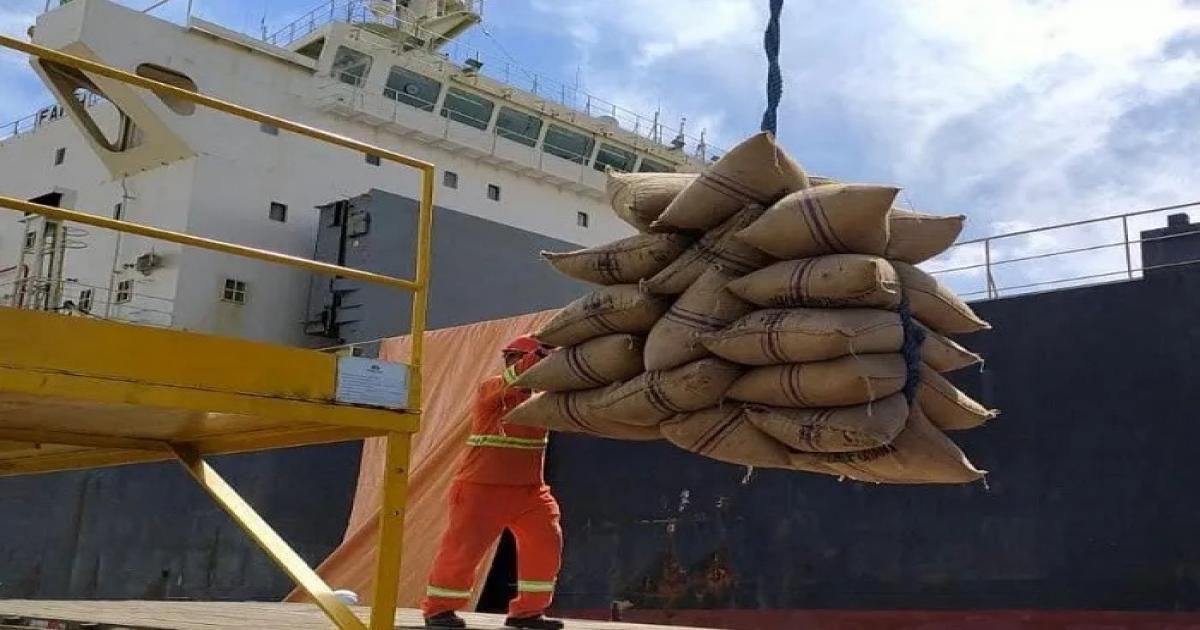  Notícias Católicas