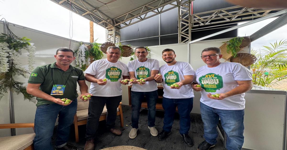  Notícias Católicas