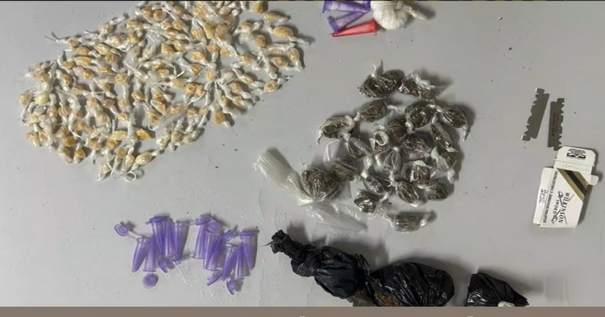  Notícias Católicas