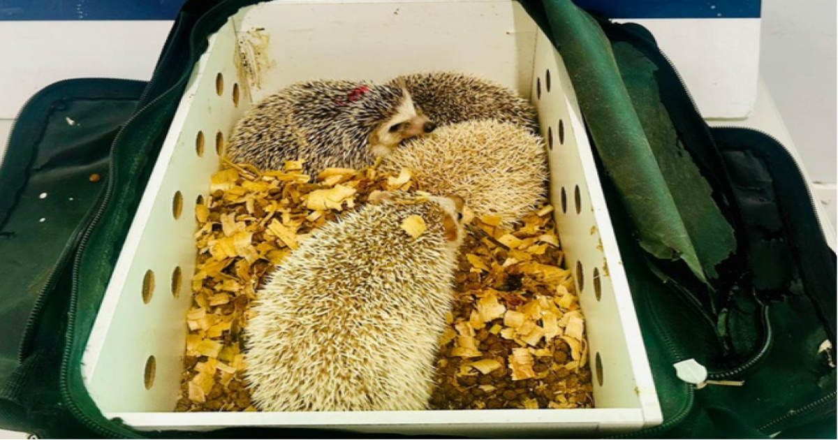  Notícias Católicas