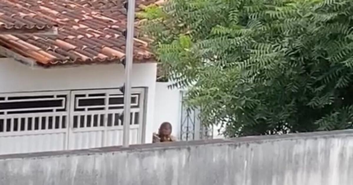  Notícias Católicas