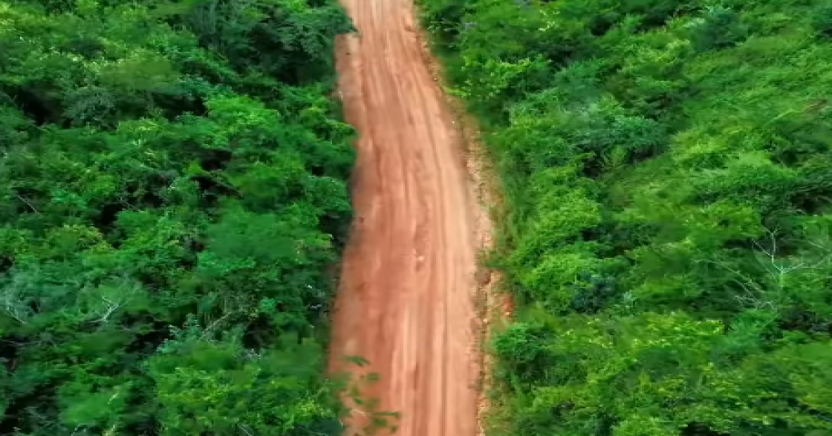  Notícias Católicas