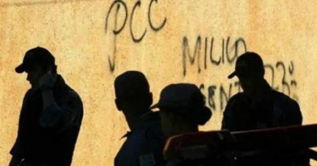  Notícias Católicas