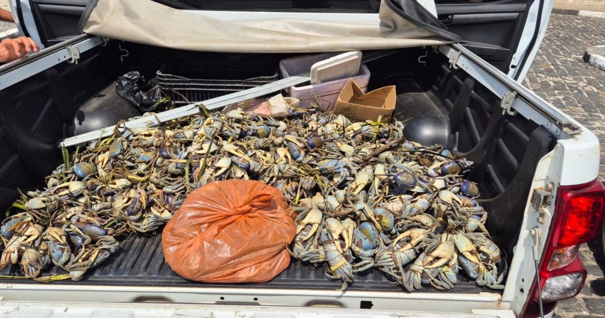  Notícias Católicas