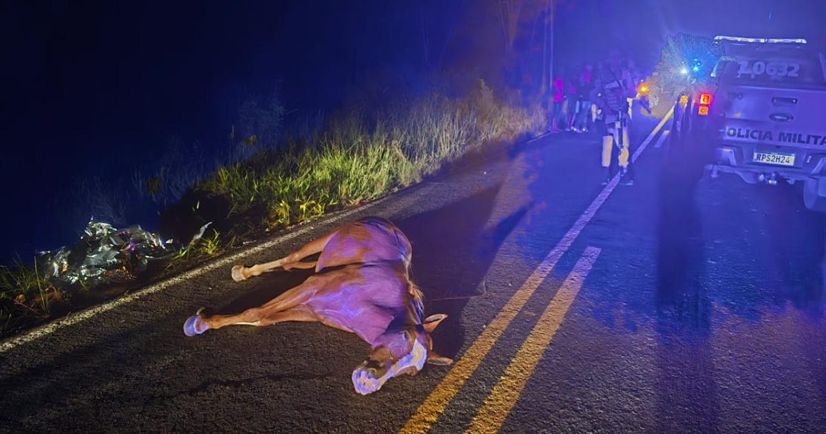 Acidente com animal na pista deixa um morto e dois feridos na BA-130, em Jequié