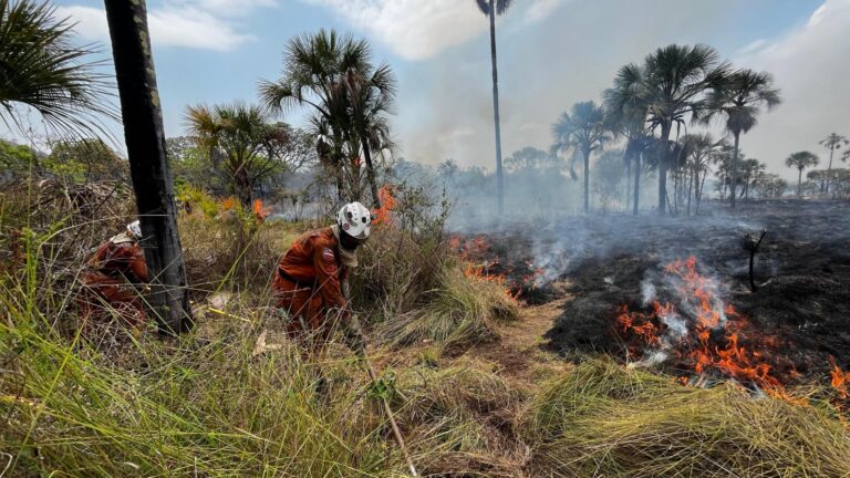 Ronda Verde no oeste e Chapada Diamantina emite 15 autos de infração