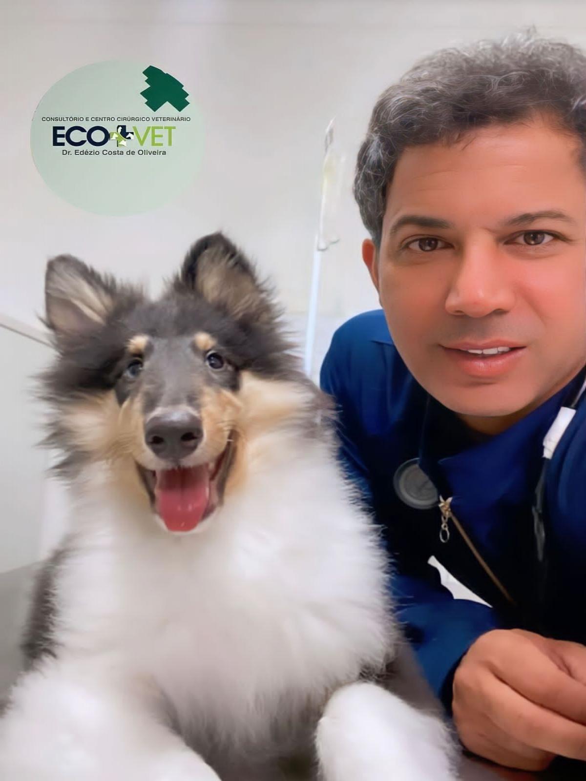 Ecovet: Dicas para banho em casa.