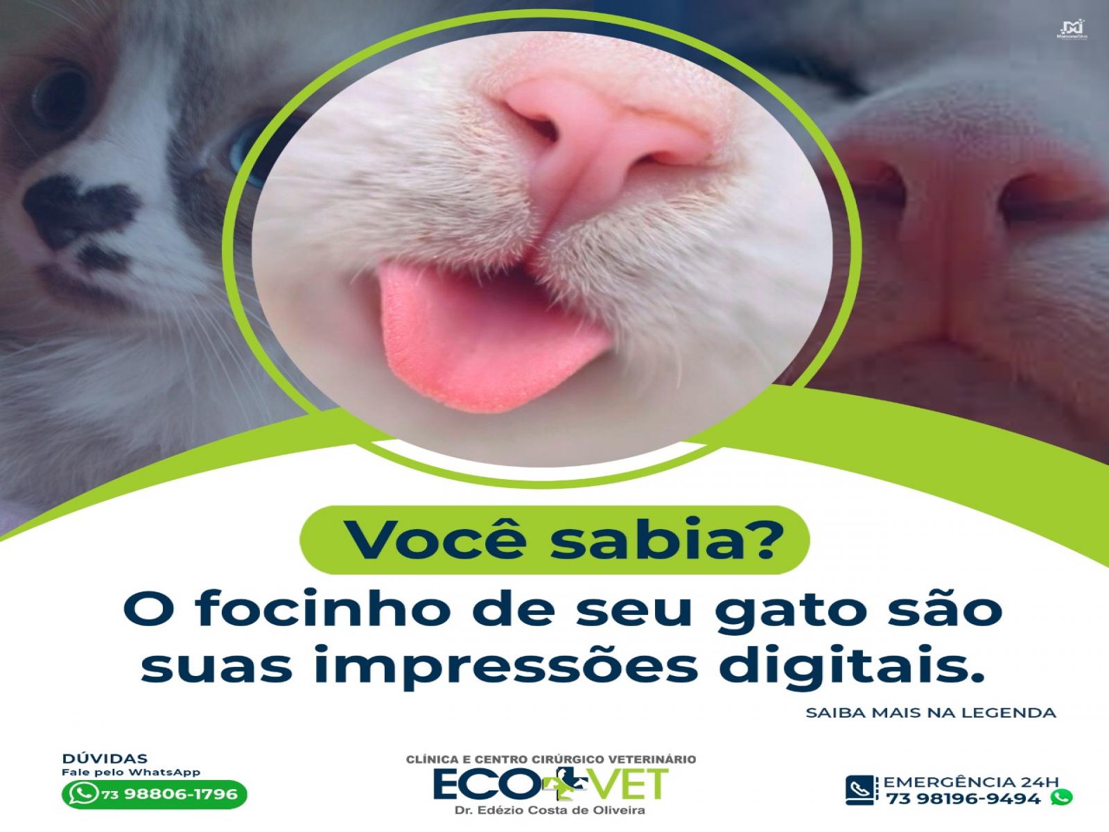 Ecovet - gatos também possuem suas digitais