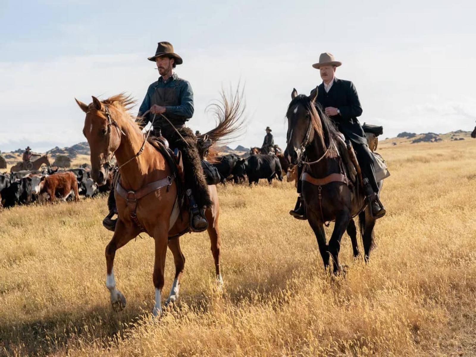 Coluna Jorge Barros: Começou a corrida para o Oscar 2022 - Qual será o filme vencedor?