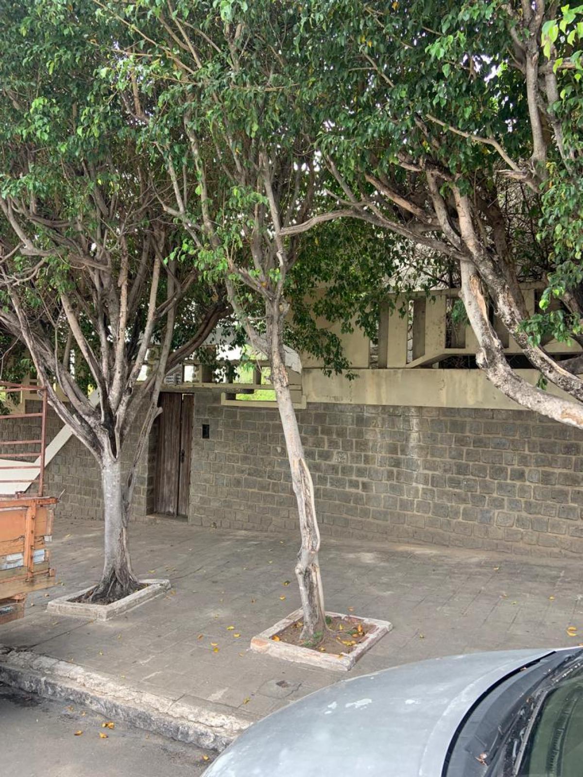 Bandidos furtaram portas e janelas de uma casa na Avenida Rio Branco