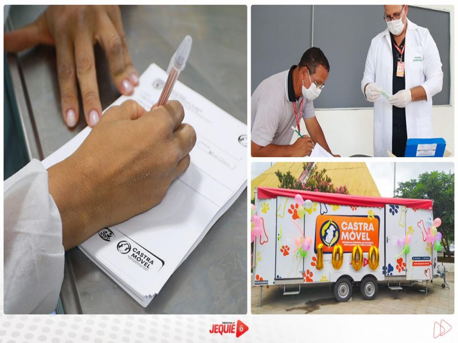Prefeitura de Jequié realizou mil cirurgias em três meses de funcionamento do castramóvel