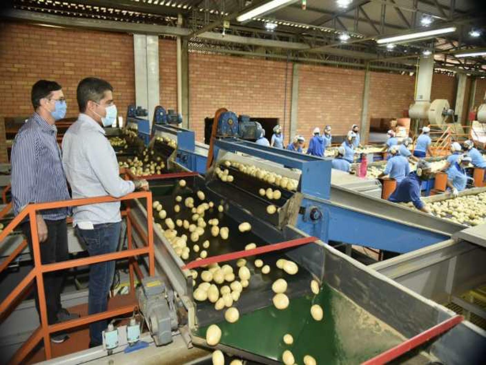 No primeiro dia de agenda pela Bahia, ACM Neto ouve demandas de produtores e trabalhadores da região