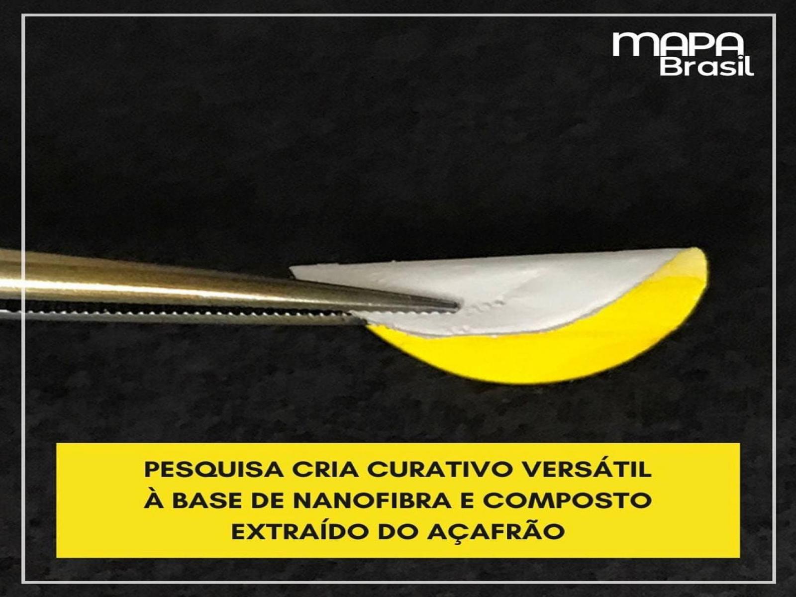 Pesquisadores desenvolveram curativo feito com açafrão-da-terra