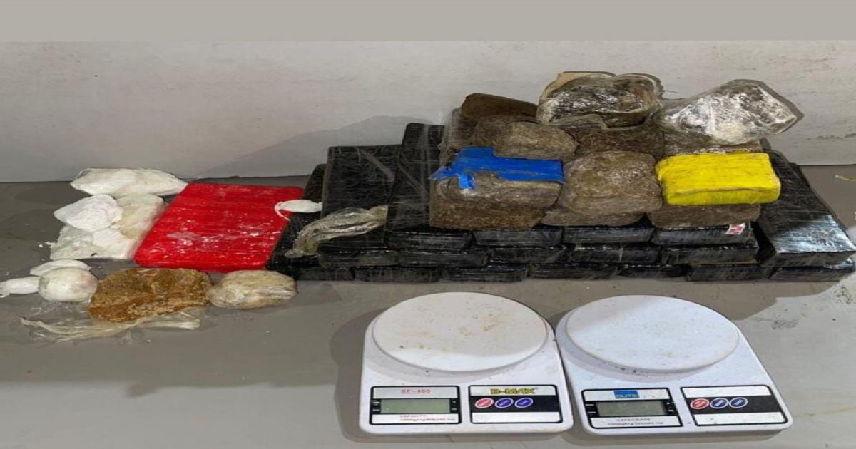 72ª CIPM encontra 27 kg de drogas enterrados em trilha na cidade de Itacaré