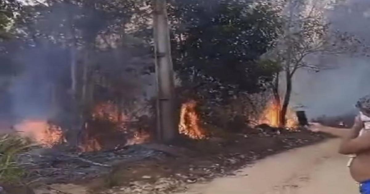 Jitaúna: Queimadas devastam zona rural e mudam rotina de moradores do campo; região do Feto segue em chamas