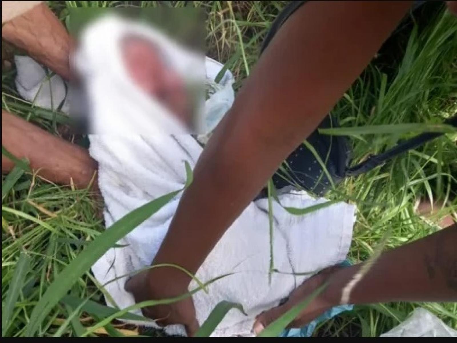 Milagres: Recém-nascido é encontrado em matagal; bebê estava com placenta e cordão umbilical