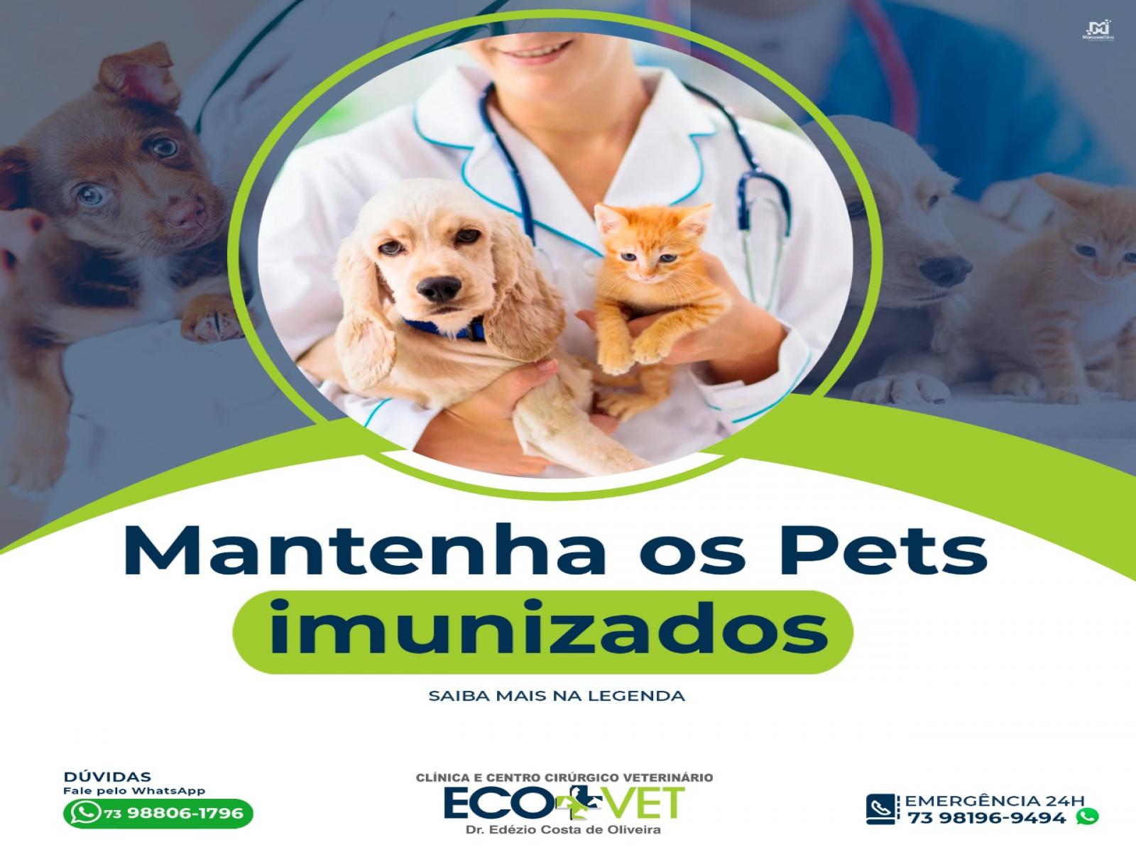 Ecovet: É preciso manter a imunidade dos pets em dia.