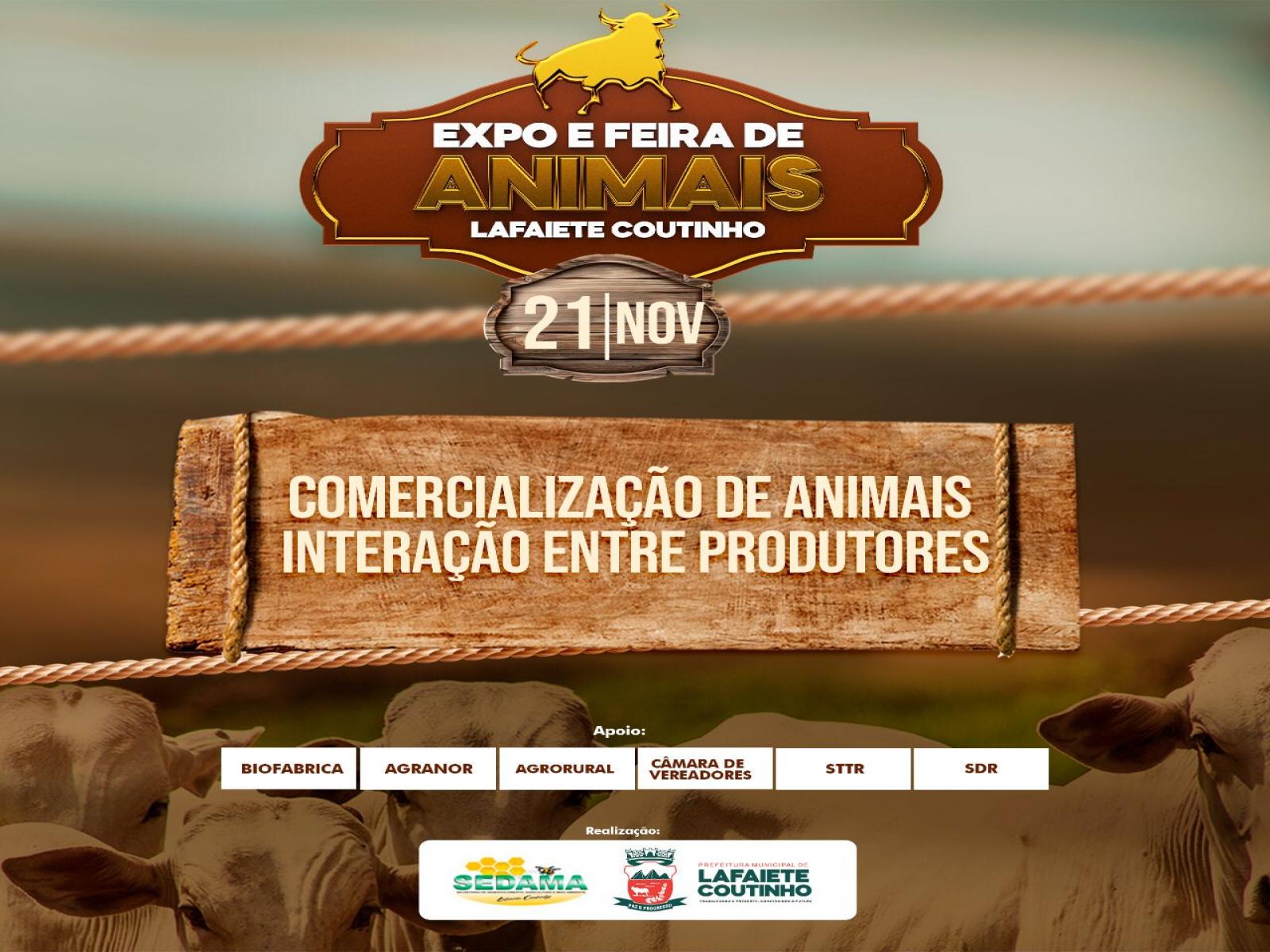 Lafaiete Coutinho: vem ai mais uma edição da Expo Feira de animais